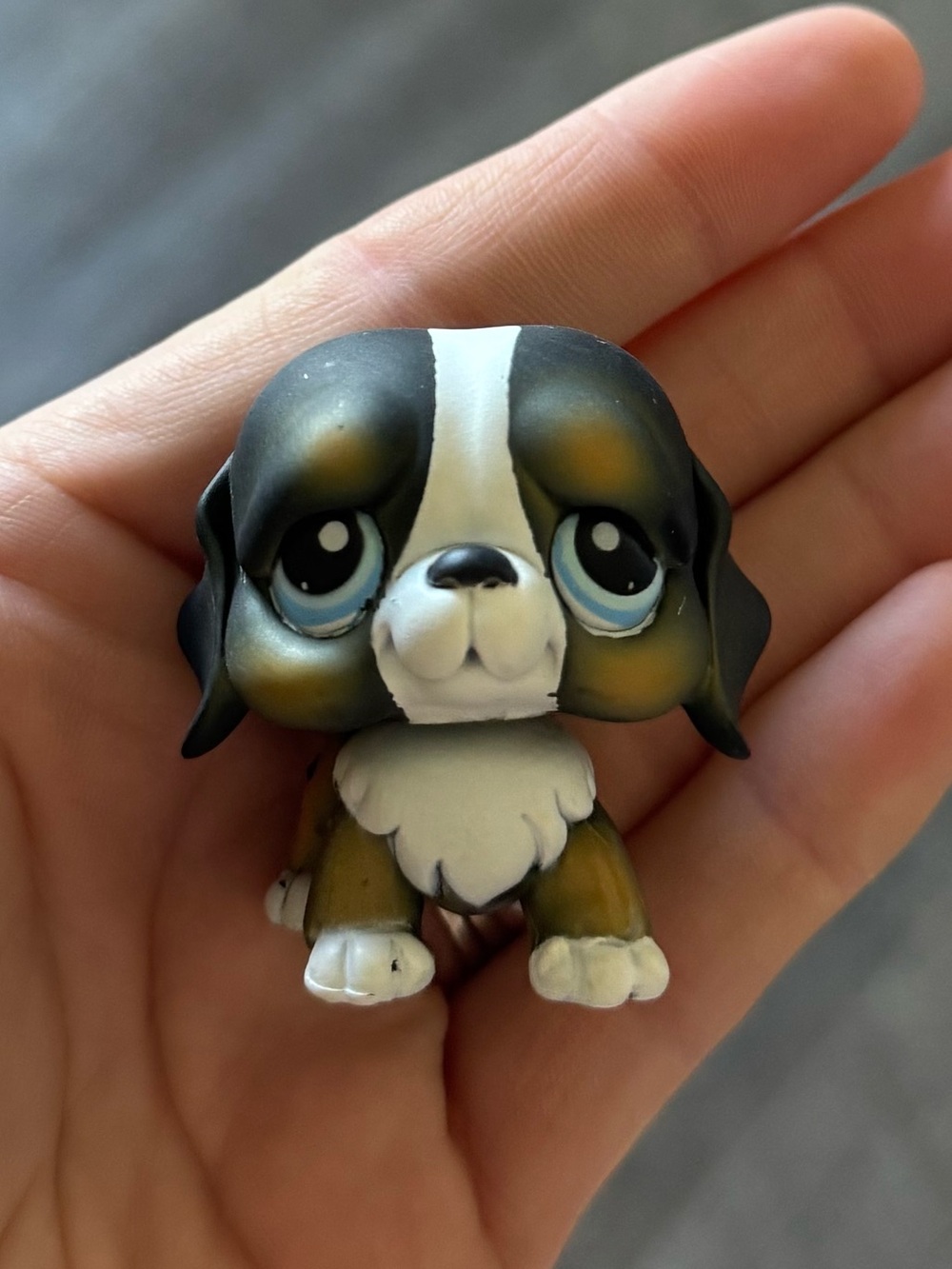 LPS #145 Bernese mountain dog